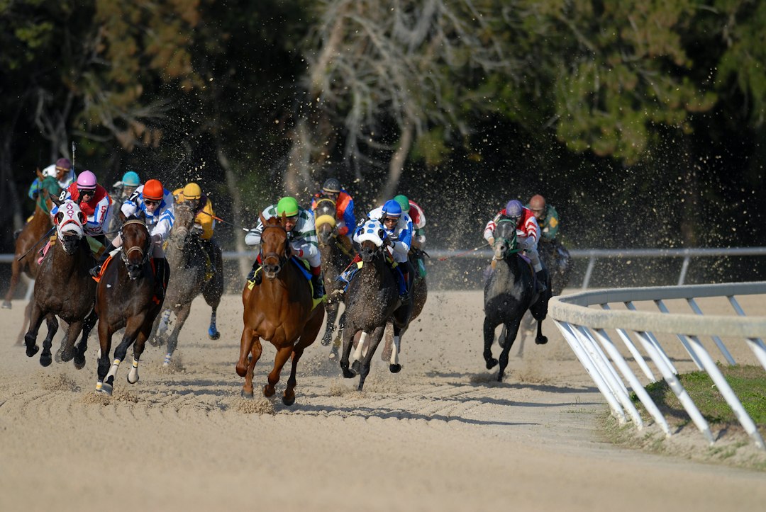 heros-img Horse Race at Tampa Bay Downs